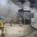 완진농장 이미지