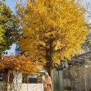 카페(cafe)모퉁이 | 안성 미리내성지 작은 무인셀프 북카페 별헤는cafe 방문후기