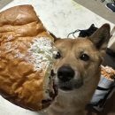 그랑팔레베이커리 이미지