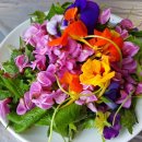 흙집정원 이미지