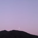 팔남매만두 이미지