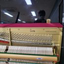 신항중학교 이미지