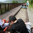 섬진강 레일바이크 이미지