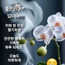 휴일 - 서구 | 휴일