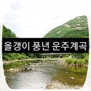 양촌민박 | [대전,청주] 당일치기 계곡여행:운주계곡