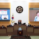 사산 이미지