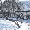 건강(健康)하게 살 수 있는 24가지 건강비법(健康祕法) 이미지