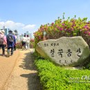꽃동산문구 이미지