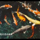 해피카우 | 용인 수지구 수영장 해피오션스포츠 아이와 가기 좋은 쾌적한 공간