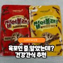 양평군 | 디오엠 느타리버섯포, 육포인 줄 알았던 맛있는간식 건강간식 후기
