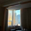 신흥에너지 | 대련 3일차 따종디엔핑으로 배달시켜먹고 2만 원에 북경오리 먹을 수 있는 신흥전승오리新興传承烤鸭 후기