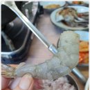 수미정 - 고흥군 | 수미정