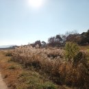 율곡천 2 이미지