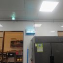 그린라인 이미지