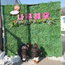 나무해담 이미지