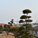 청죽교회 이미지