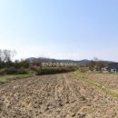 영민공인중개사사무소 이미지