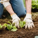 주식회사 청인