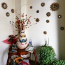 루나 하우스(Luna House) 이미지