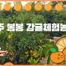 쭌농장 이미지