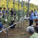 이영화농장 이미지