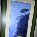 여보게친구 차나한잔먹음세 이미지