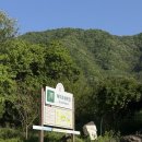 춘천 해피초원목장 아이랑 가볼 만한 곳 체험 후기