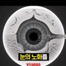 봄의약속안과의원 이미지