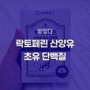 하이포텐, 락토페린 산양유 초유 단백질 솔직 후기