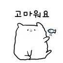 인투게코