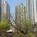 래미안황금공인중개사사무소 이미지