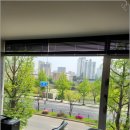 브리제헤어 정자역점 리얼 염색후기 정자역미용실