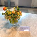 대청동 카페 까사부사노(CASABUSANO)