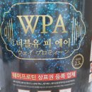 더블유피에이 이미지
