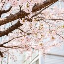 원우상사 | 실행력 있는 전략가로 성장하다 – 서강 Pro-MBA 87기 원우 인터뷰