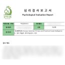 도형심리 기록책만들기 | 강남 지능검사 웩슬러검사 ｜굿이너프 심리검사센터 6세 아동 IQ 후기