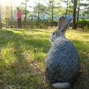 장우진동물병원 이미지