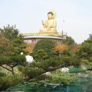 홍법사(부산) Daum카페