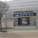 타라모터스 이미지