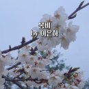 이*은 - 미추홀구 석정로126번길 23 | 이*은