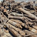 (주)경일항공여행사 이미지