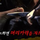 조경농장 이미지