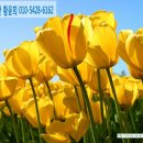 세종빌딩 이미지