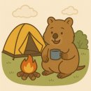 페스티벌 필수템! 내돈내산 페이퍼팝 토트 3회차 후기