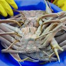 가을상회 이미지