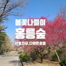 불불