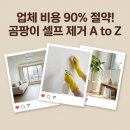 GH자연건강 신정점 | 수지 신정마을9단지 22평 곰팡이 셀프 인테리어 비용 공개, 솔직 후기