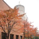 풍납동성당 이미지