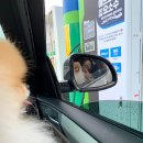 천지인주유소 이미지