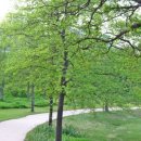 정부대전청사 이미지